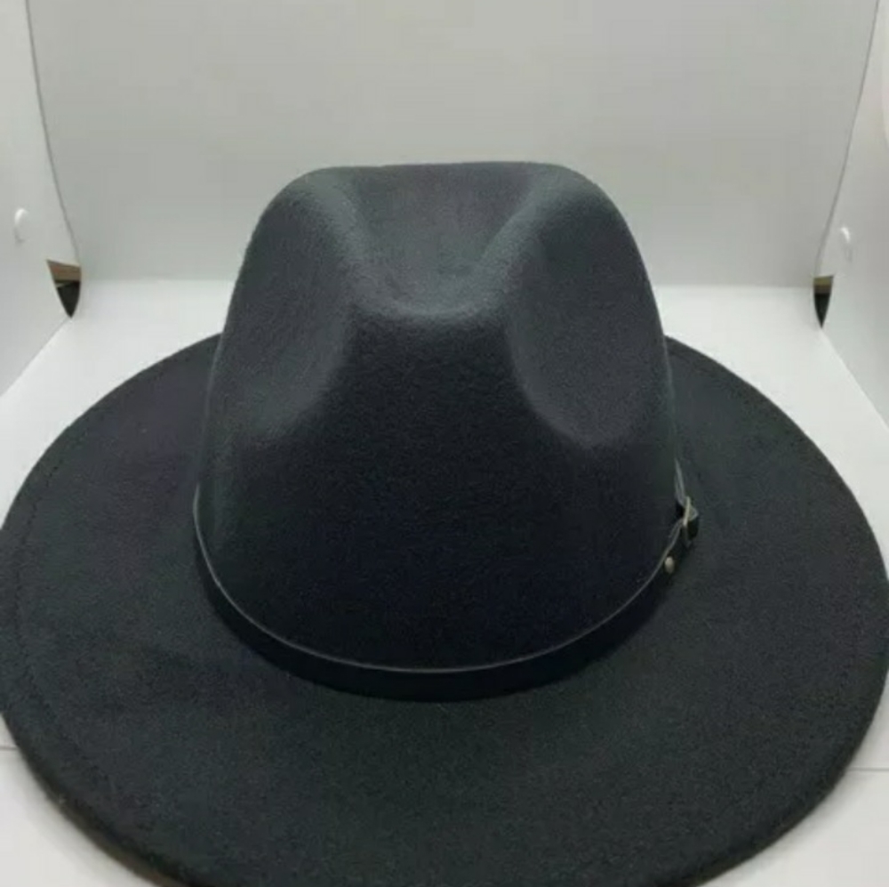 Fedora Hat, Wide Brim Hat, New with tags